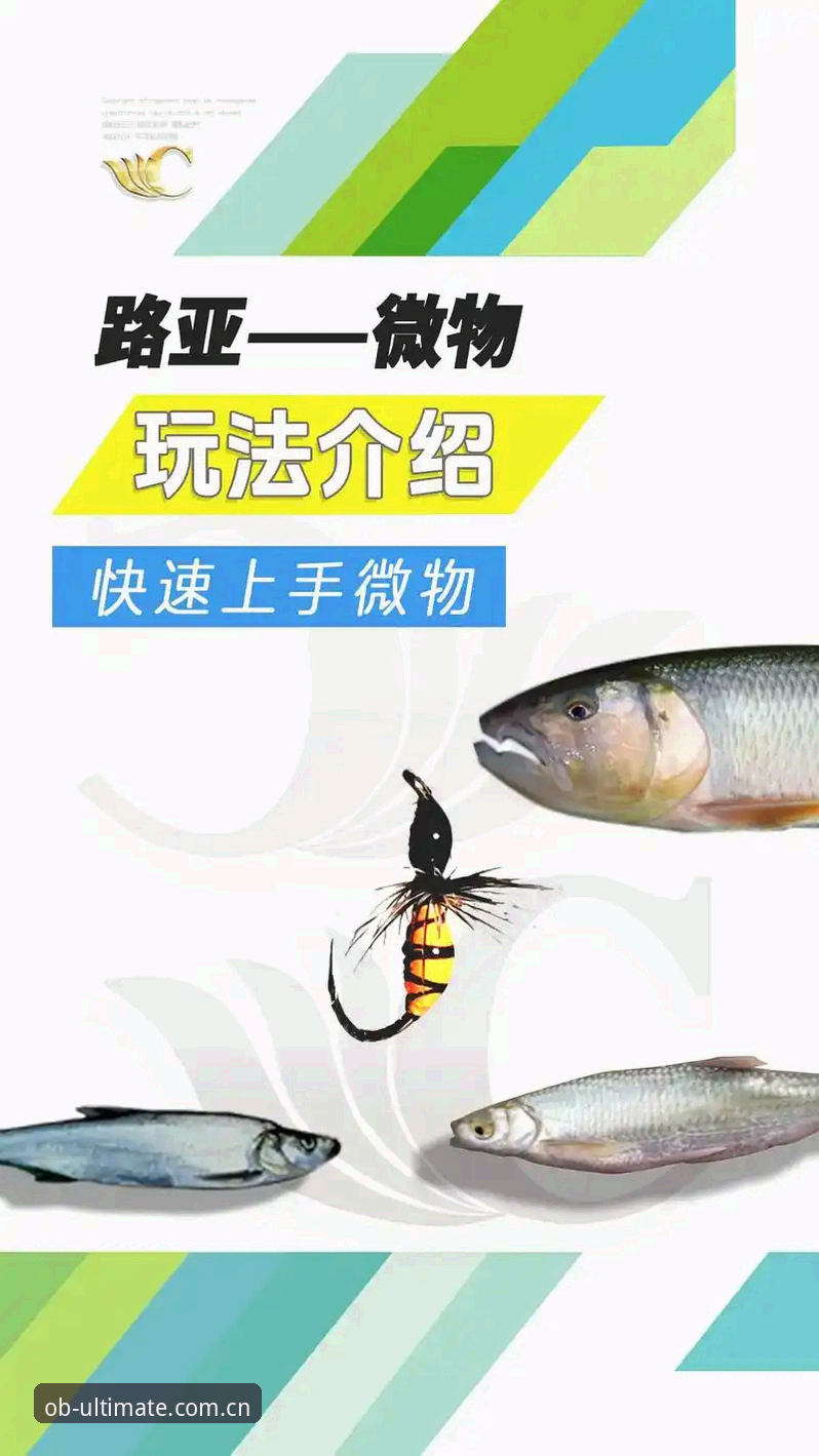如何通过OB体育平台最新版教程快速上手？从注册到使用的完整指南